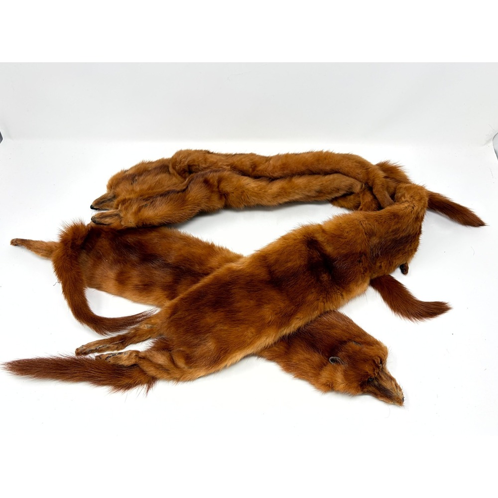 Vintage 1940's JL Hudson Co Detroit 4 Pelt Mink Fur Stole Wrap Full Body